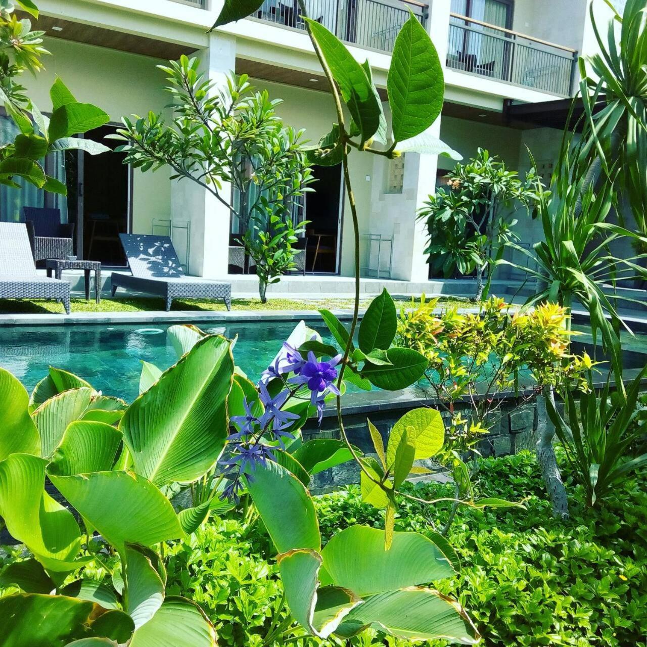 Arnaya Homestay Kuta Lombok Exteriör bild