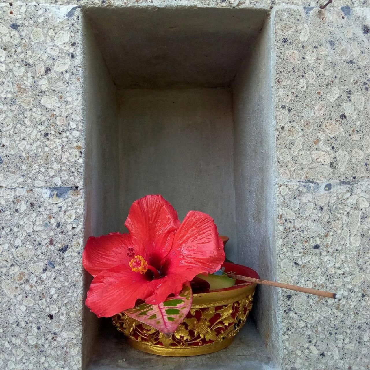 Arnaya Homestay Kuta Lombok Exteriör bild